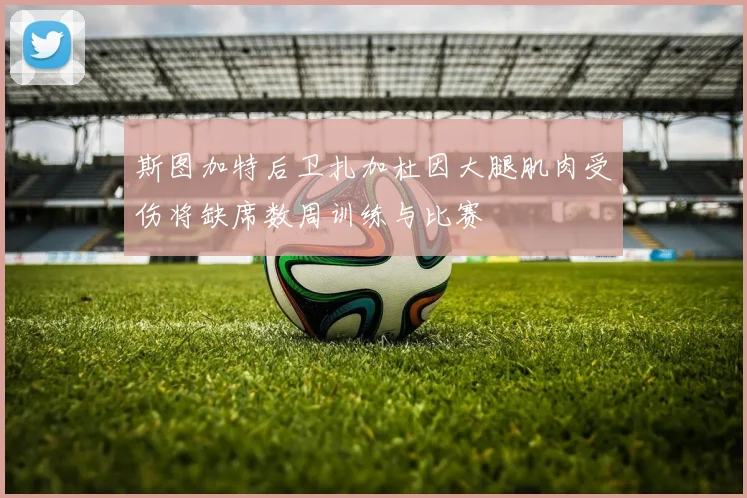 斯图加特后卫扎加杜因大腿肌肉受伤将缺席数周训练与比赛